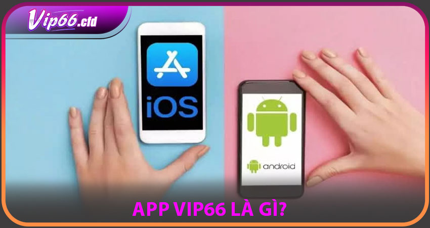 App VIP66 là gì?