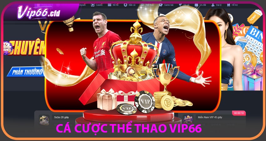 Cá cược thể thao VIP66