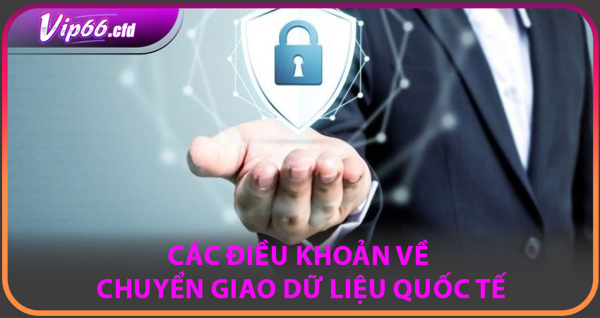 Các điều khoản về chuyển giao dữ liệu quốc tế