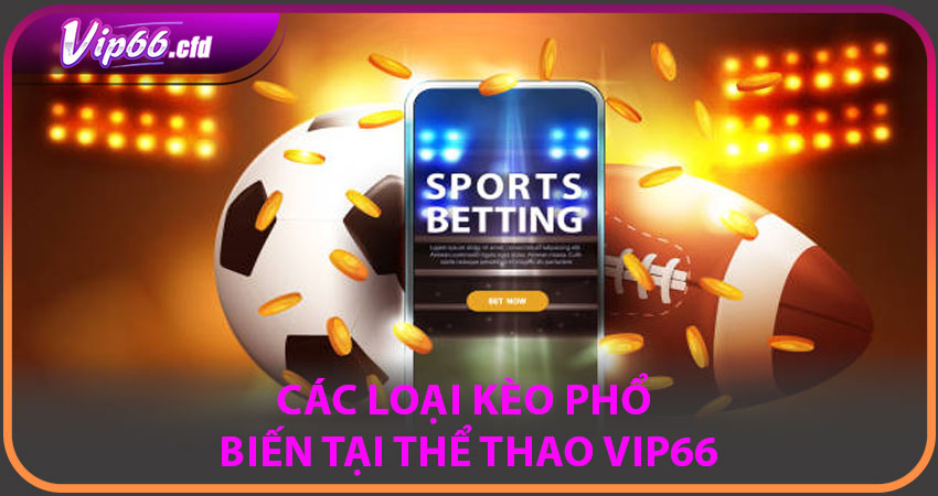 Các loại kèo phổ biến tại Thể Thao VIP66