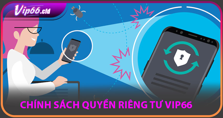 Chính sách quyền riêng tư VIP66 – Cấu trúc và phạm vi áp dụng