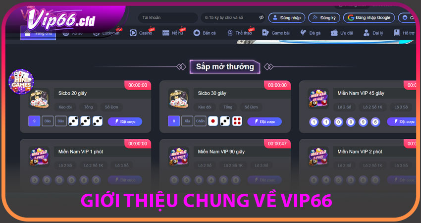 Giới thiệu chung về VIP66