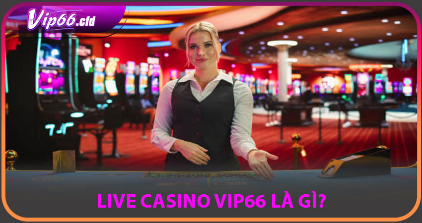 LIVE CASINO VIP66 là gì?
