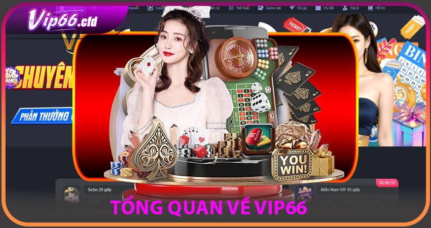 Thông tin giới thiệu tổng quan về nhà cái VIP66