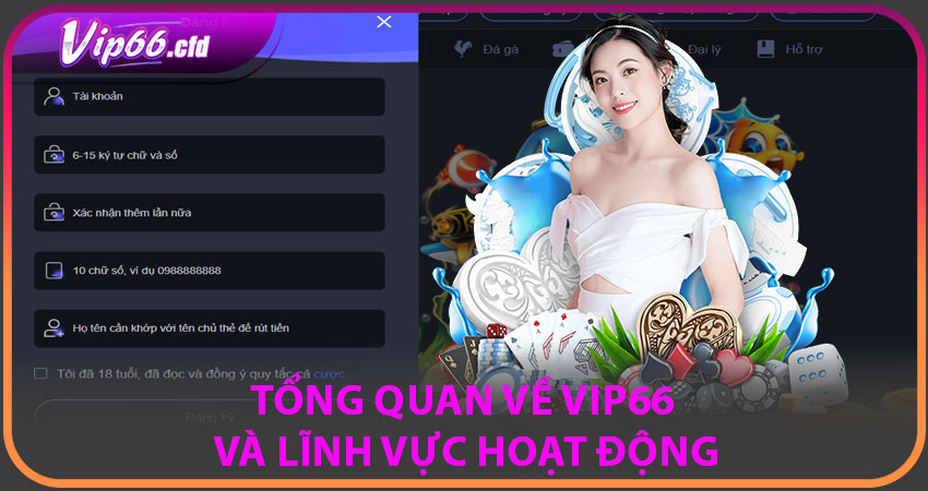 Tổng quan về VIP66 và lĩnh vực hoạt động