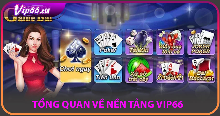 Tổng quan về nền tảng VIP66